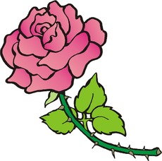 Rose.tif